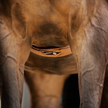 Sangle Stübben cuir Contours élastiques sur les deux côtés Tabac Marron Sangle Stübben cuir Contours élastiques sur les deux côtés Tabac Marron