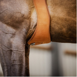 Sangle Stübben cuir Contours élastiques sur les deux côtés Tabac Marron Sangle Stübben cuir Contours élastiques sur les deux côtés Tabac Marron