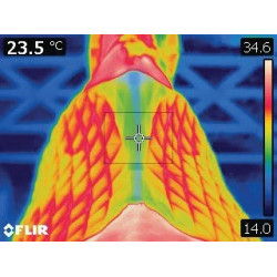 Tapis de dressage Stübben Streamline