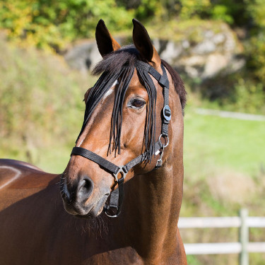 Frontal chasse-mouches Horze Frontal chasse-mouches Horze