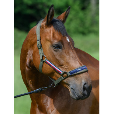 Licol et longe Tommy Hilfiger Equestrian Yale Licol et longe Tommy Hilfiger Equestrian Yale