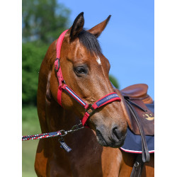 Licol Tommy Hilfiger Equestrian Lincoln