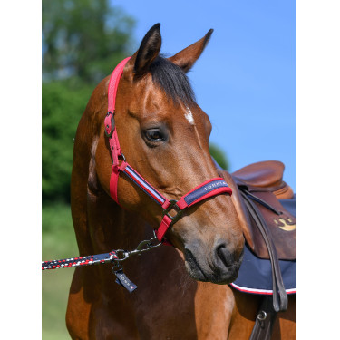 Licol Tommy Hilfiger Equestrian Lincoln Licol Tommy Hilfiger Equestrian Lincoln