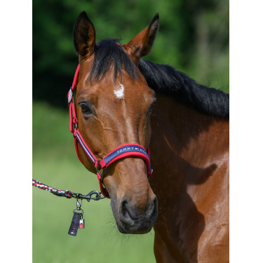 Licol Tommy Hilfiger Equestrian Lincoln Licol Tommy Hilfiger Equestrian Lincoln