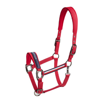Licol Tommy Hilfiger Equestrian Lincoln