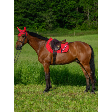 Tapis de CSO Tommy Hilfiger Equestrian Stanford Rouge primaire Tapis de CSO Tommy Hilfiger Equestrian Stanford Rouge primaire