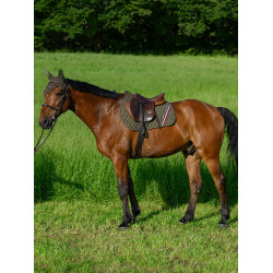 Tapis de CSO Tommy Hilfiger Equestrian Stanford Olivier utilitaire Vert Tapis de CSO Tommy Hilfiger Equestrian Stanford Olivier utilitaire Vert