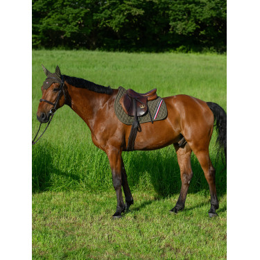 Tapis de CSO Tommy Hilfiger Equestrian Stanford Tapis de CSO Tommy Hilfiger Equestrian Stanford