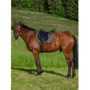 Tapis de dressage Tommy Hilfiger Equestrian Stanford Tapis de dressage Tommy Hilfiger Equestrian Stanford