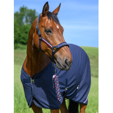 Licol et longe Tommy Hilfiger Equestrian Yale Licol et longe Tommy Hilfiger Equestrian Yale