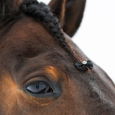 Noeuds à natter Diamond Finn-Tack par 16 Noeuds à natter Diamond Finn-Tack par 16