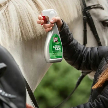 Lotion anti-taons Bremsen Bremse Lotion anti-taons Bremsen Bremse