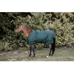 Couverture d'extérieur All Weather imperméable Pro Kentucky Vert foncé