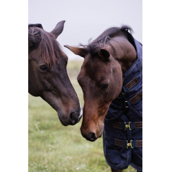 Couverture d'extérieur All Weather imperméable Pro Kentucky 1680D Marine Bleu marine Couverture d'extérieur All Weather imperméable Pro Kentucky 1680D Marine Bleu marine