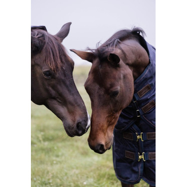 Couverture d'extérieur All Weather imperméable Pro Kentucky 1680D Marine Bleu marine Couverture d'extérieur All Weather imperméable Pro Kentucky 1680D Marine Bleu marine