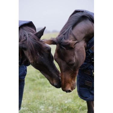 Couverture d'extérieur All Weather imperméable Pro Kentucky 1680D Marine Bleu marine Couverture d'extérieur All Weather imperméable Pro Kentucky 1680D Marine Bleu marine