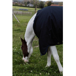 Turnout Rug All Weather Waterproof Comfort Kentucky