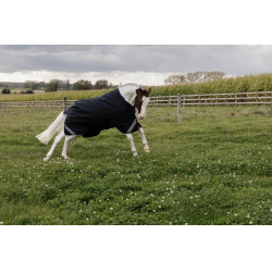 Turnout Rug All Weather Waterproof Comfort Kentucky