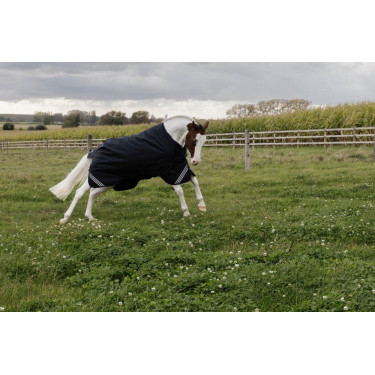 Turnout Rug All Weather Waterproof Comfort Kentucky