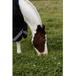 Turnout Rug All Weather Waterproof Comfort Kentucky