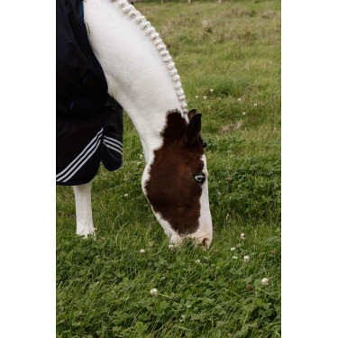 Turnout Rug All Weather Waterproof Comfort Kentucky