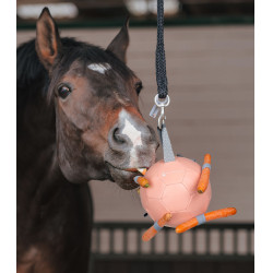 Balle Waldhausen à carottes Linnea rose