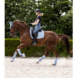 Bandes polaire Waldhausen Rom par 4 Bleu pastel