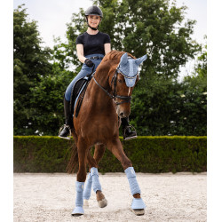 Bandes polaire Waldhausen Rom par 4 Bleu pastel