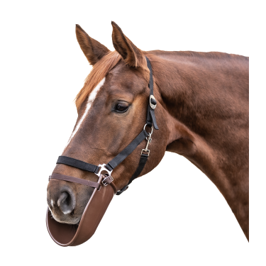 Bavette de bouche Waldhausen Bavette de bouche Waldhausen
