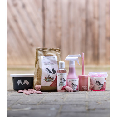 Bol friandises Lucky avec couvercle Bol friandises Lucky avec couvercle
