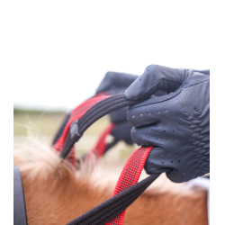 Bricole Waldhausen rênes de sécurité Secutrust Noir