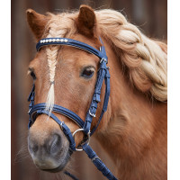 Bridon Waldhausen Lucky Bleu nocturne Bridon Waldhausen Lucky Bleu nocturne