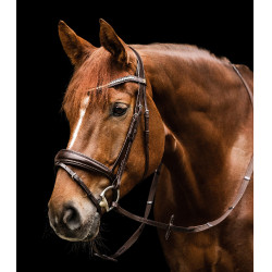 Bridon Waldhausen S-Line Essential Marron Bridon Waldhausen S-Line Essential Marron