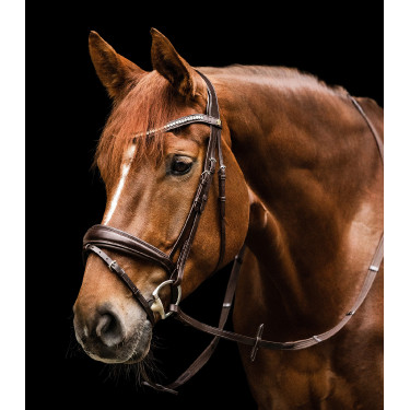 Bridon Waldhausen S-Line Essential Marron Bridon Waldhausen S-Line Essential Marron