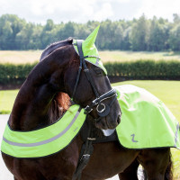 Couvre-reins réfléchissant fluo Horze Jaune