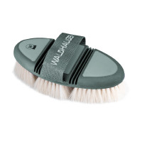 Brosse lustrante Waldhausen Flex Gui Vert Brosse lustrante Waldhausen Flex Gui Vert