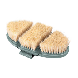 Brosse chiendent Waldhausen Flex Gui