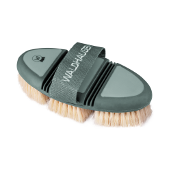 Brosse chiendent Waldhausen Flex Gui