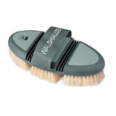 Brosse chiendent Waldhausen Flex Gui