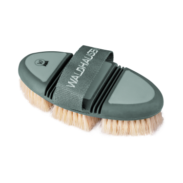 Brosse chiendent Waldhausen Flex Gui