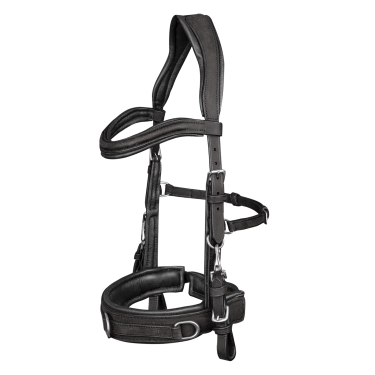 Caveçon Waldhausen en cuir anatomic Caveçon Waldhausen en cuir anatomic