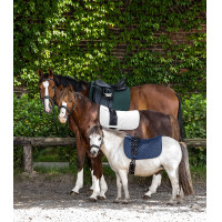 Tapis de selle Waldhausen Felix Bleu nocturne