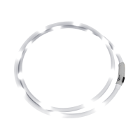 Collier dencolure LED Waldhausen Blanc Collier dencolure LED Waldhausen Blanc