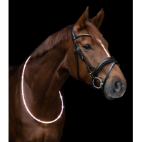 Collier dencolure LED Waldhausen Blanc Collier dencolure LED Waldhausen Blanc