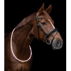 Collier dencolure LED Waldhausen Blanc Collier dencolure LED Waldhausen Blanc