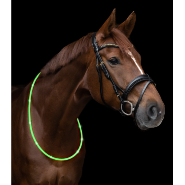 Collier dencolure LED Waldhausen Vert