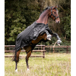 Couverture d’extérieur Waldhausen Scandic 300 g Noir Couverture d’extérieur Waldhausen Scandic 300 g Noir