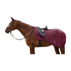 Couverture d'équitation anti-mouches Waldhausen Rom Rouge velouté