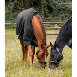 Couverture d'extérieur Waldhausen Nordic 200 g Noir Couverture d'extérieur Waldhausen Nordic 200 g Noir