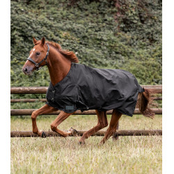 Couverture d'extérieur Waldhausen Nordic 300 g Noir Couverture d'extérieur Waldhausen Nordic 300 g Noir